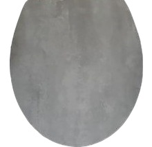 Toilettendeckel aus Beton