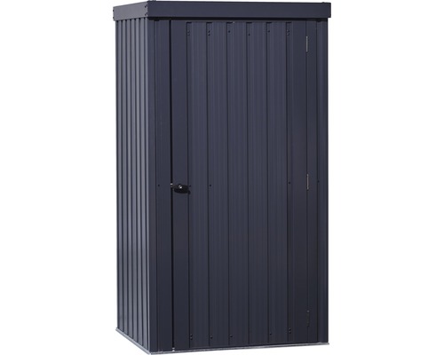 Armoire à outils avec support d'outils et compartiments de rangement 98 x 81 x 180 cm anthracite Armoire de jardin en métal avec porte