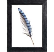 Image encadrée d''une plume d''oiseau bleue