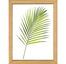 Gerahmtes Bild mit einem Palmblattmotiv