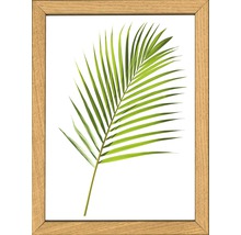 Bilderrahmen mit Motiv eines Palmenblatts
