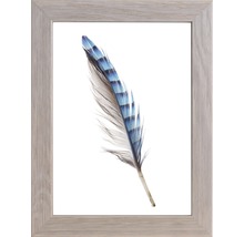 Gerahmtes Bild einer blau gestreiften Feder