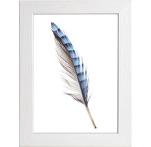 Image encadrée d''une plume à motif bleu