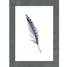 Gerahmtes Bild einer blauen Feder