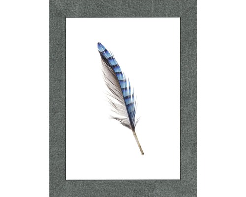 Gerahmtes Bild einer blau gestreiften Feder