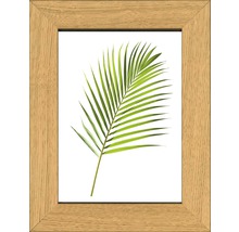 Image encadrée avec motif végétal