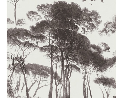Papier peint intissé 37651-1 History of Art arbres gris