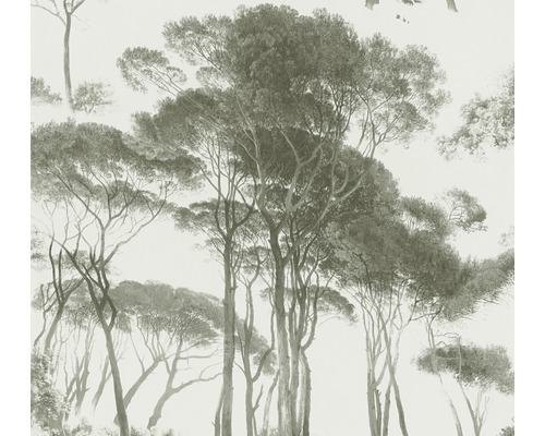 Papier peint intissé 37651-2 History of Art arbres vert