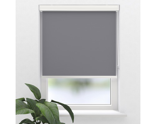 SOLUNA Verdunkelungsrollo V33 mit Kassette, uni grau, 40x175 cm Graues Rollo am Fenster