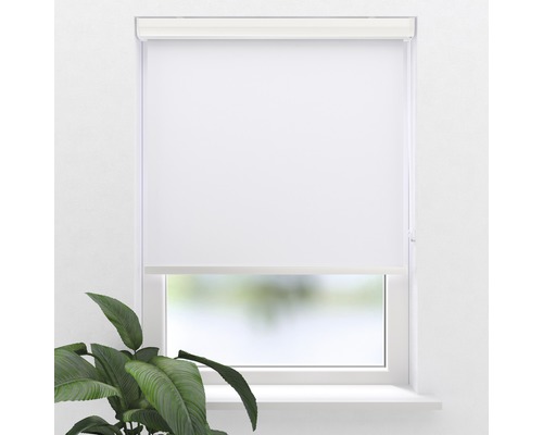 SOLUNA Verdunkelungsrollo V31 mit Kassette, uni weiss, 40x175 cm Weisses Rollo vor einem Fenster