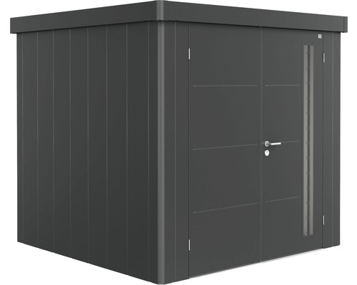 Remise à outils biohort Neo 2B double porte 236 x 236 cm gris foncé-métallique Abri de jardin en métal avec porte et fenêtre