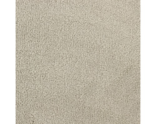 Moquette velours Palma bambou largeur 400 cm (au mètre) Gros plan d''un tapis