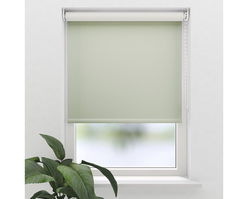 Rollo am Fenster mit Kettenzug und Pflanze