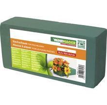 Mousse à piquer Windhager pour fleurs fraîches, 22,5 x 10,5 x 6,5 cm