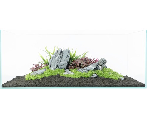 Aquarium avec pierres, plantes et substrat de fond