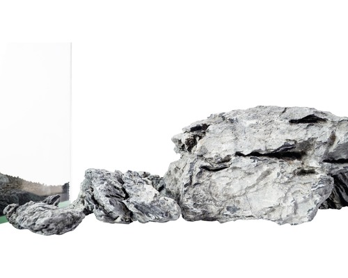 Décoration d''aquarium avec des pierres