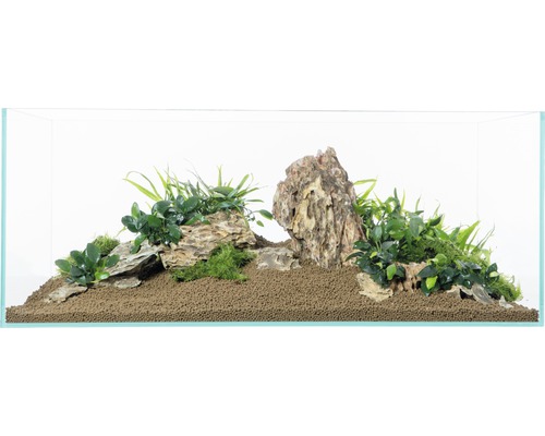 Aquarium aménagé avec des plantes et des pierres