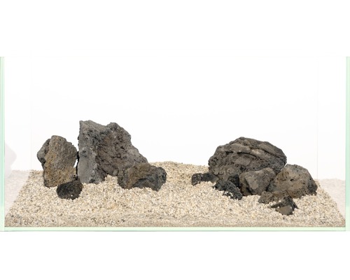 Aquarium avec pierres de lave et gravier