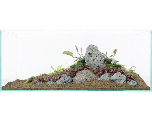 Aquarium décoratif avec plantes, pierres et substrat