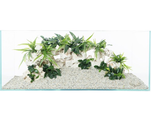 Aquarium décoré avec pierres, plantes et sable
