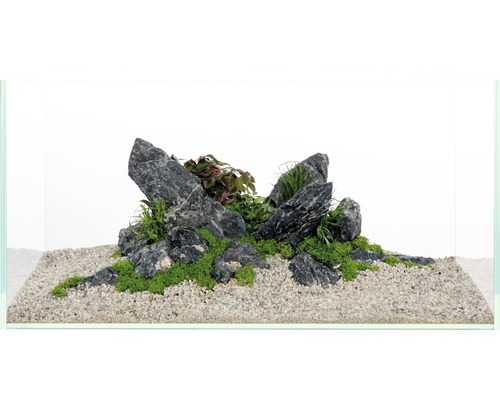 Aquarium décoratif avec pierres, plantes et gravier