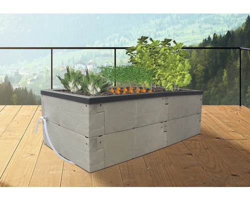 Hochbeet aus Kunststoff mit Gemüsepflanzen auf einer Terrasse