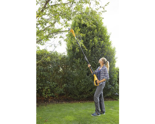 Une femme utilise un ébrancheur pour tailler les branches d''arbres dans le jardin.