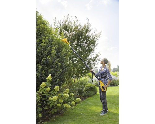 Une femme coupe une haie avec un taille-haie télescopique à batterie dans le jardin.