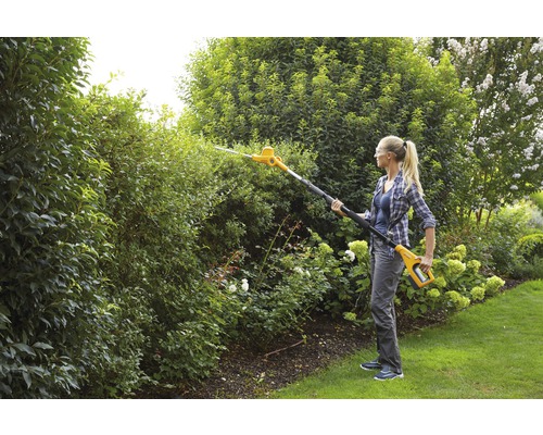 Une femme taille une haie avec un taille-haie sans fil dans le jardin.
