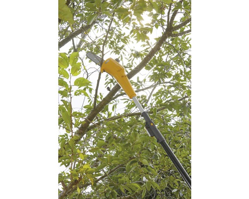 Élagueuse en cours d''utilisation pour couper des branches sur un arbre