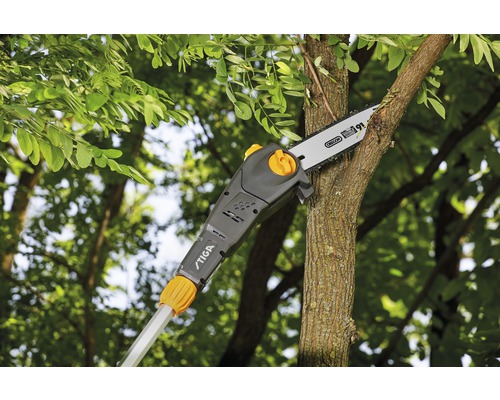 Élagueuse sur perche coupant une branche