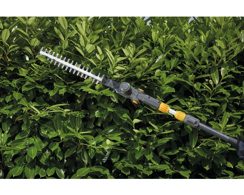 Taille-haie avec manche télescopique coupant une haie