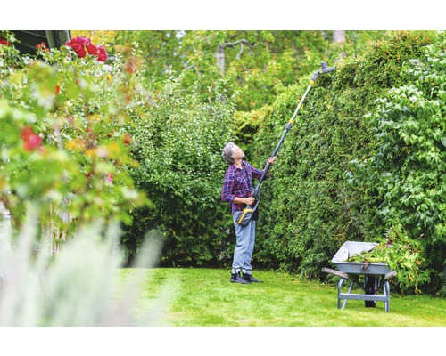 Une personne taille une haie avec un taille-haie télescopique sans fil dans le jardin. Une brouette est à côté.