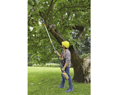 Une personne coupant les branches d''un arbre avec un ébrancheur à batterie.