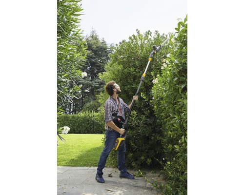 Un homme taille une haie dans le jardin avec un taille-haie sans fil à manche télescopique.