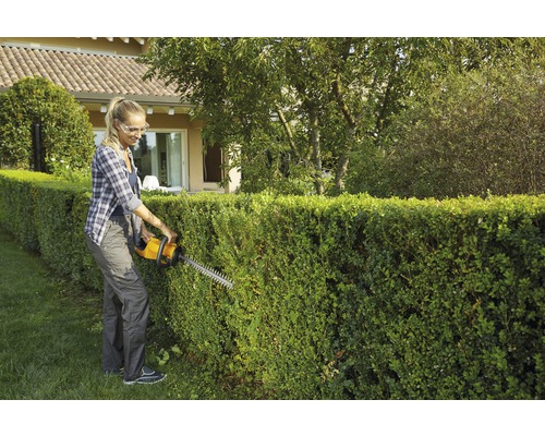 Frau schneidet Hecke mit einer Heckenschere im Garten.