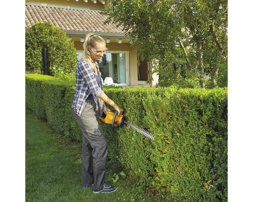 Frau schneidet Hecke mit Heckenschere im Garten.