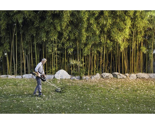 Ein Mann mäht mit einem Rasentrimmer den Rasen vor einem Bambushain.