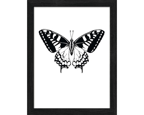 Tableau encadré Butterfly 19x24 cm