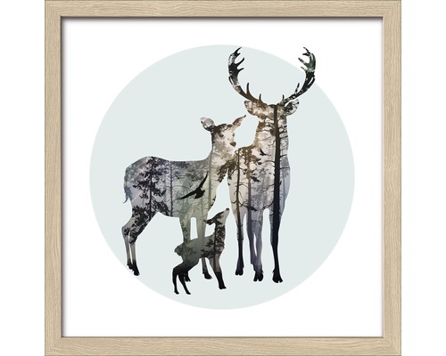 Gerahmtes Bild Deer Family 28x28 cm