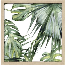 Image encadrée avec des feuilles tropicales comme motif