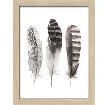 Image encadrée avec trois plumes