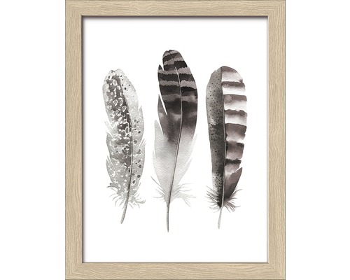 Gerahmtes Bild Three Brown Feathers 19x24 cm