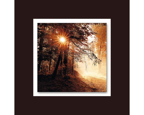 Tableau métallique alu Autumn Forest II 50x50 cm