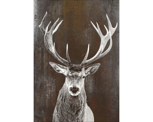 Tableau métallique alu Drown Deer II 98x70 cm