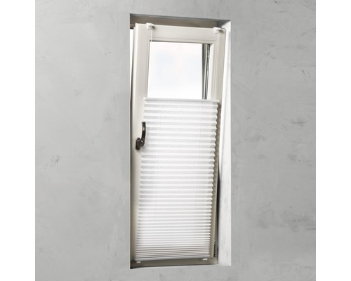 Fenêtre avec store plissé monté