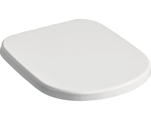 Toilettendeckel aus Kunststoff