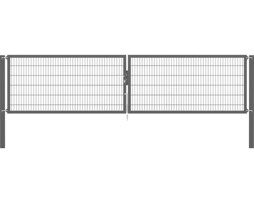 Portillon grillagé double ALBERTS Flexo Plus 8/6/8 500 x 120 cm y compris poteaux 10 x 10 cm anthracite