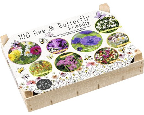 Blumenzwiebel Big Box - BIO Diversität Bee & Butterfly 100 Stk