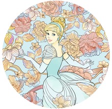 Illustration von Cinderella mit Blumenmuster
